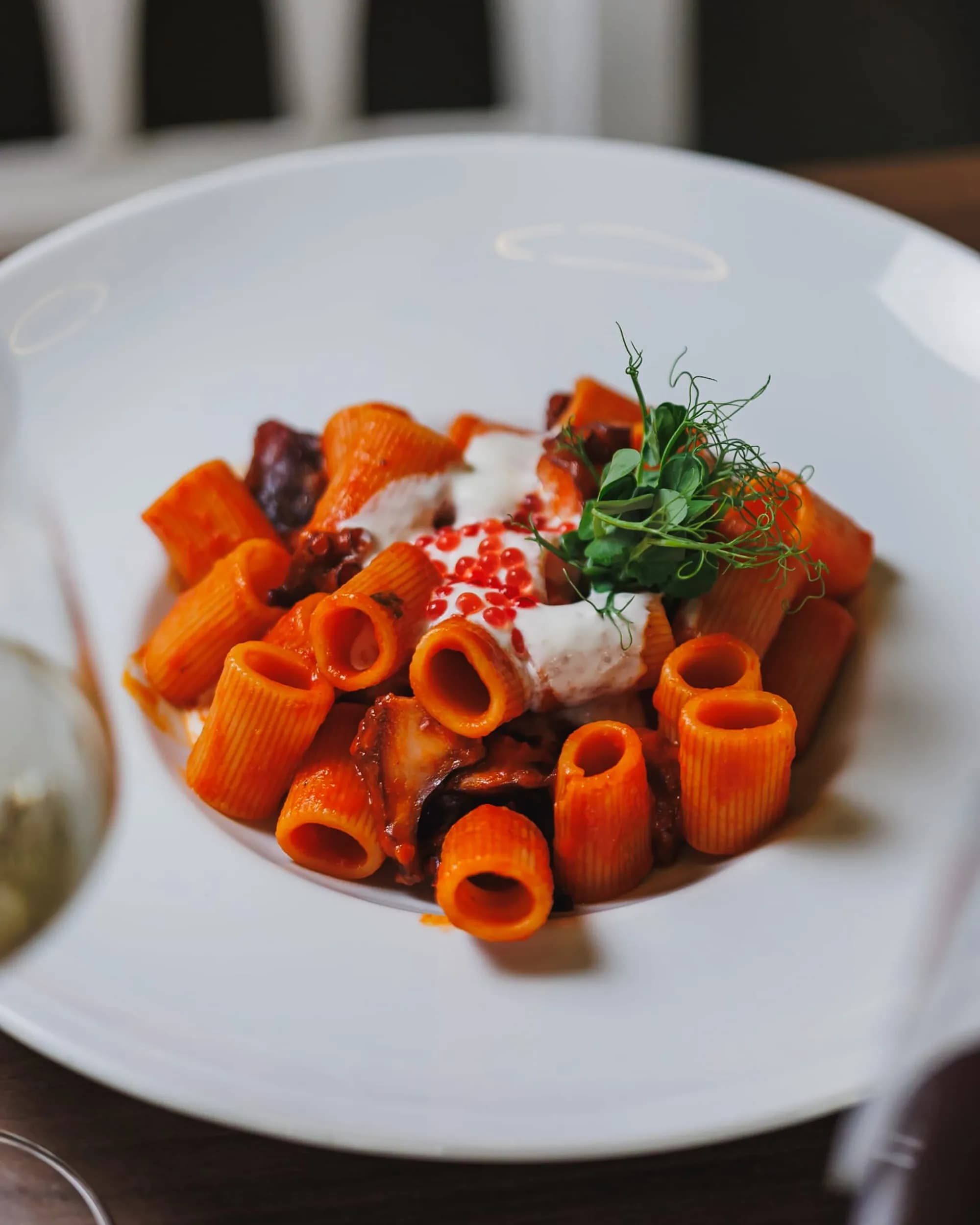 Mezze maniche al ragù di polpo